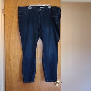 Brand New Women's Blue Jeans